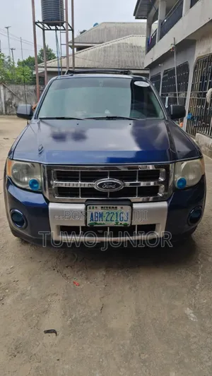 Ford Escape 2010 Blue