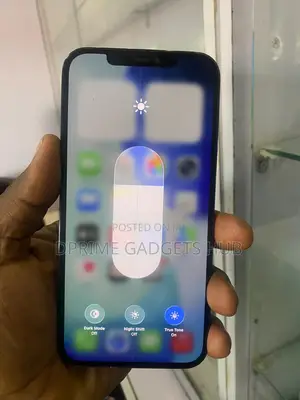 Apple iPhone 12 Pro Max 256 GB Blue