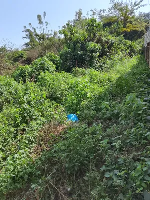 Farmland and Plots for Sale