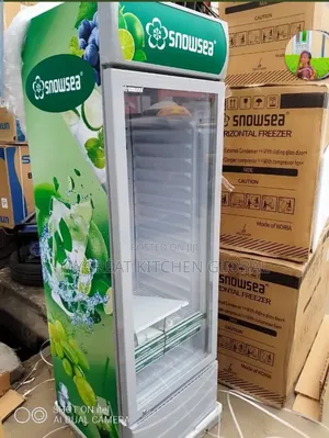 Snowsea Display Chiller Single Door 300liters