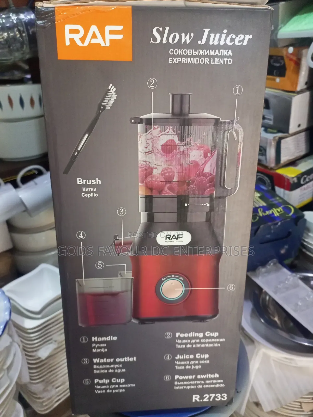 Raf Slow Juicer