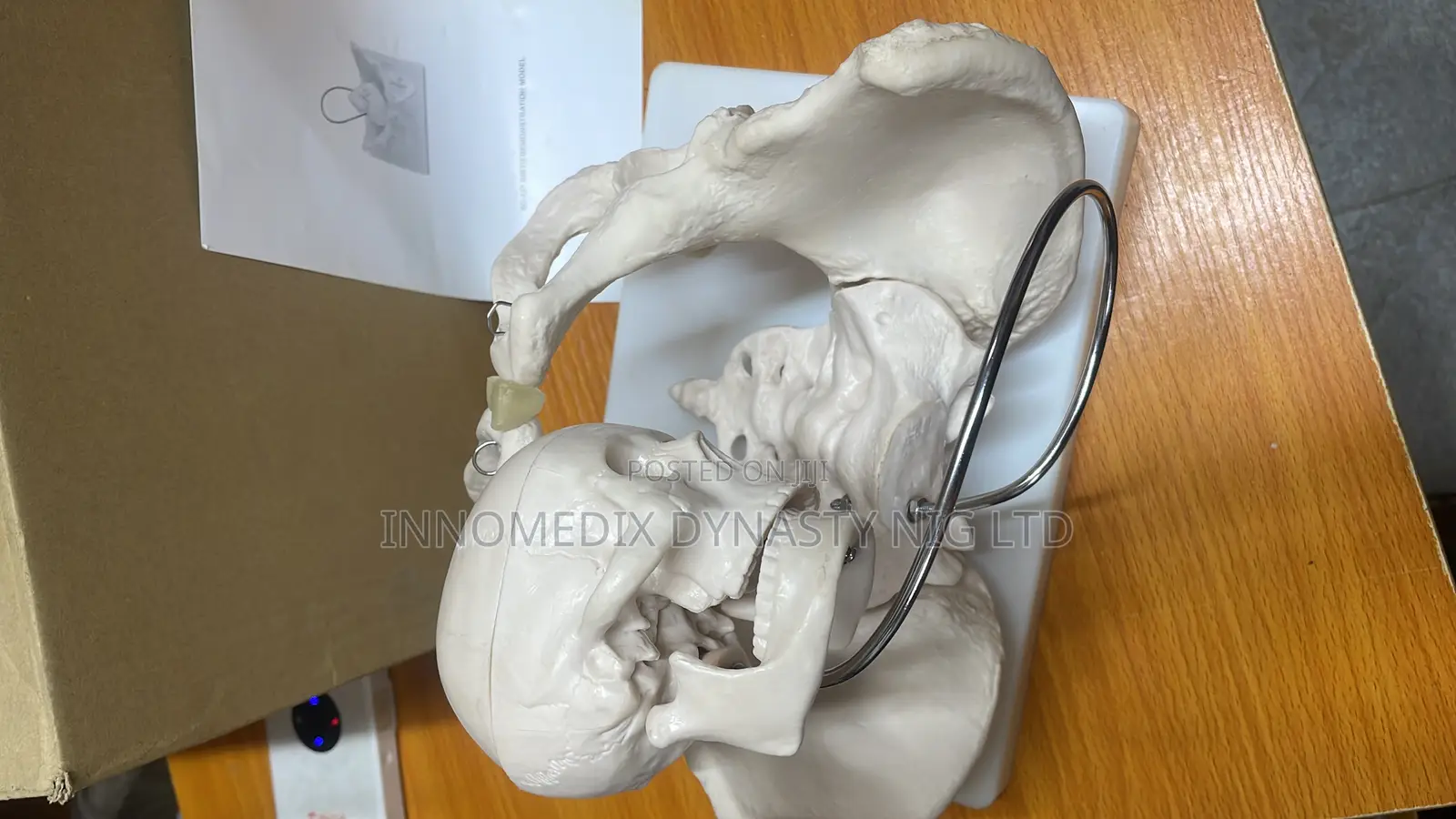 Birth Demonstration Model