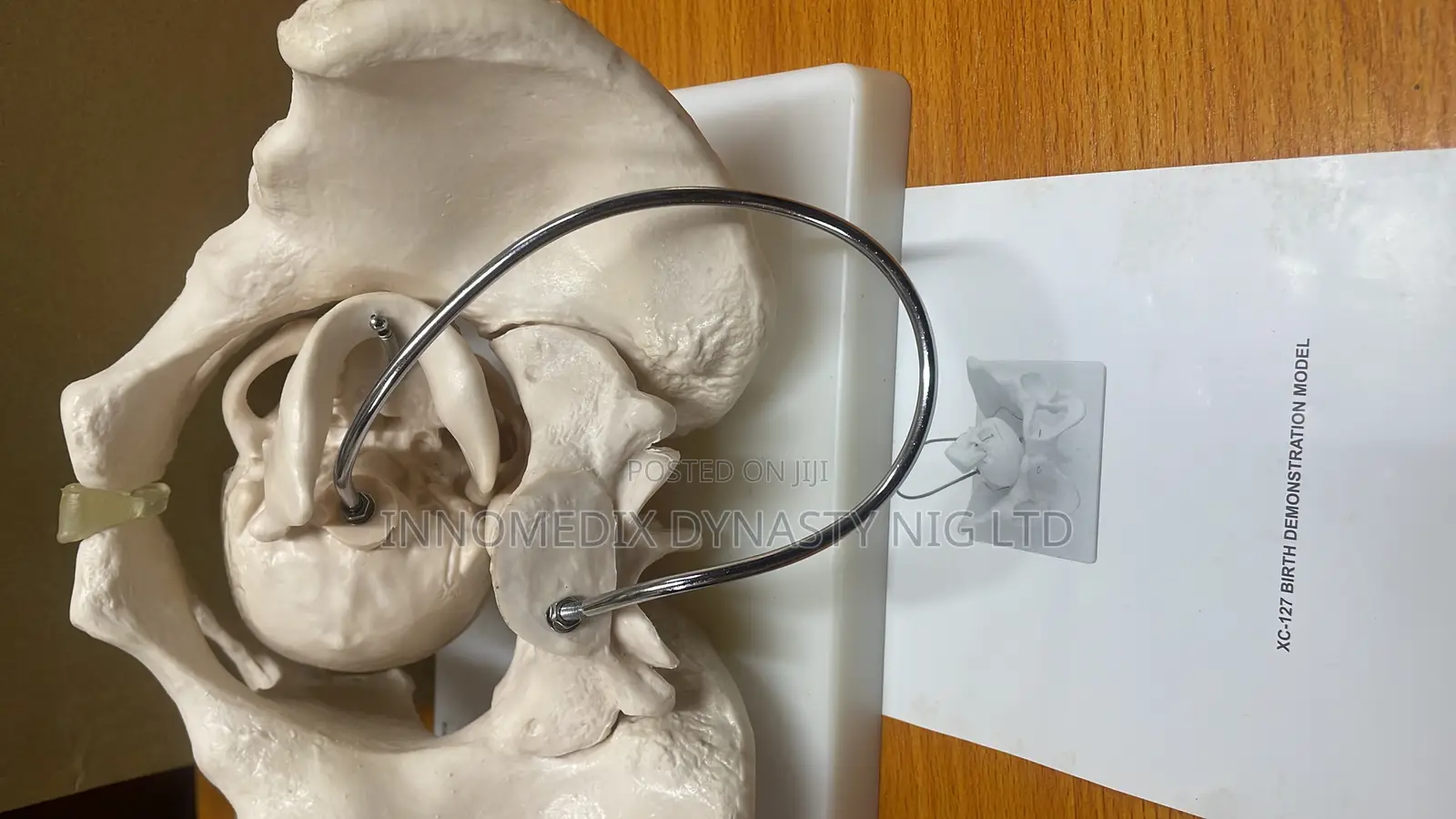 Birth Demonstration Model
