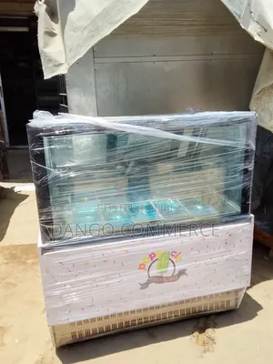 10 Plate Ice Cream Display Freezer