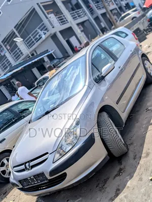 Peugeot 307 2007 Silver