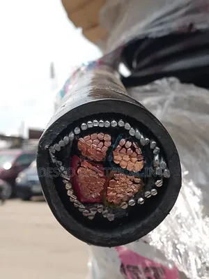 25mmx4core Armoured Cable 100 Present Copper