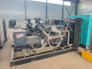 Natural Gas Generator