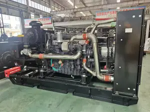 Natural Gas Generator