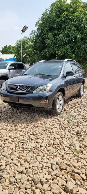 Lexus RX 330 2004 Gray