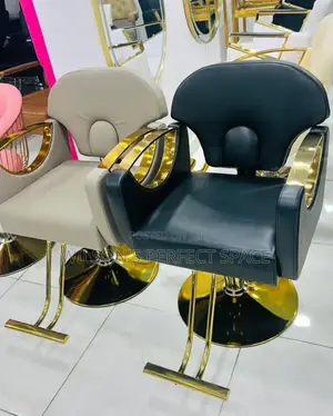 Modern Executive Salon Chair.