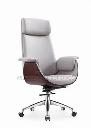 Modern Top Executive Office Chair