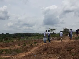 With 3.5m You Can Secure a Plot in Ikorodu Prime,Offerlast Till 12pm