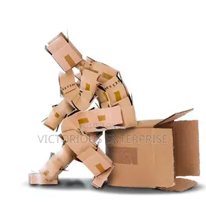 Carton Box for Packing Goods