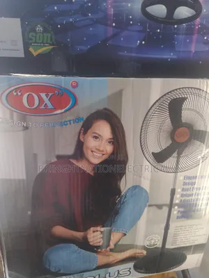 Standing Fan