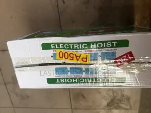Pa500 Electric Hoist