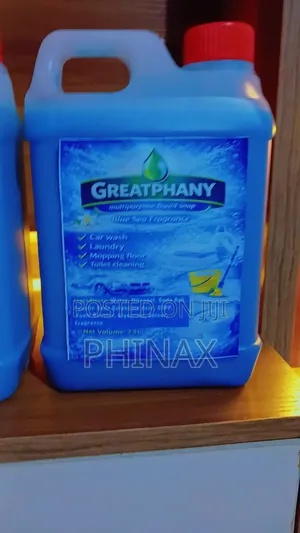 Greatphany Multipurpose Liqud Soup