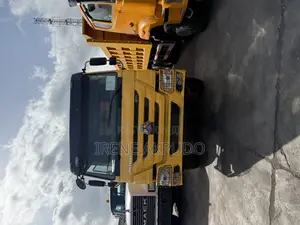 Newly Arrived Sinotruck Howo Old Model Dump Truck