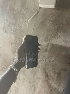 Google Pixel 9 Pro 256 GB Gray