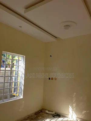 Professional Painter