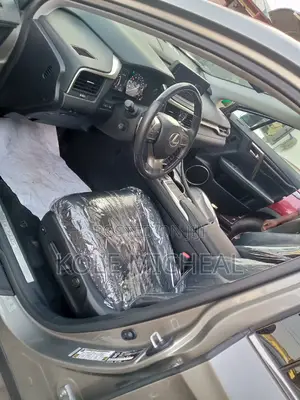 Lexus RX 2022 Gray