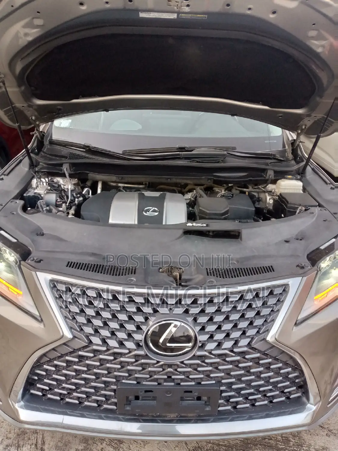 Lexus RX 2022 Gray