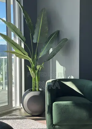 Fiber Glass Planters