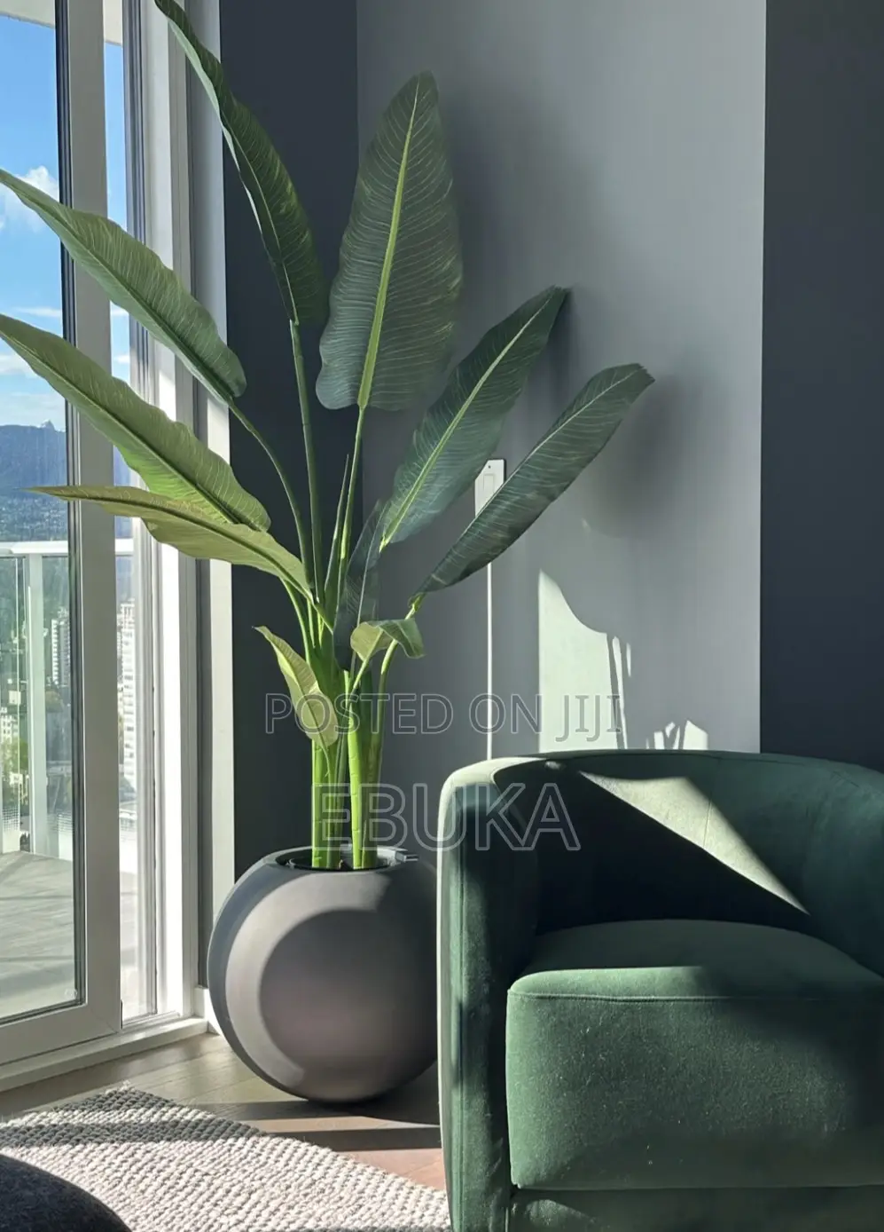 Fiber Glass Planters