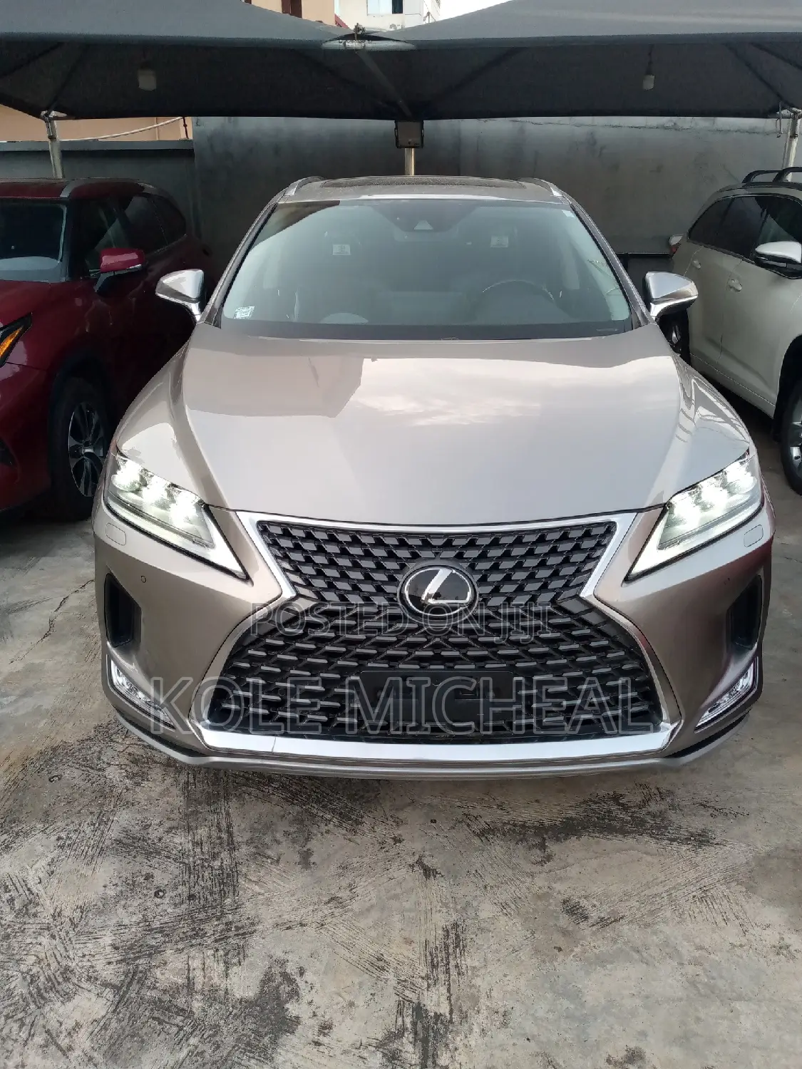 Lexus RX 2022 Gray