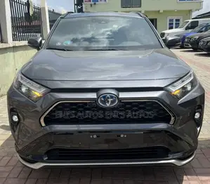Toyota RAV4 Limited AWD 2024 Gray