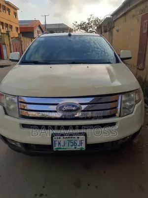Ford Edge 2008 Beige