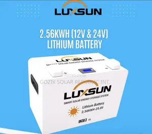 2.5kwh 24v Luxsun Lithium Ion Batteries