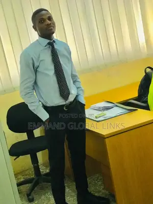 Project Manager/Supervisor