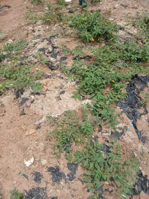 Over 500 Plots for Sale at Umuahia