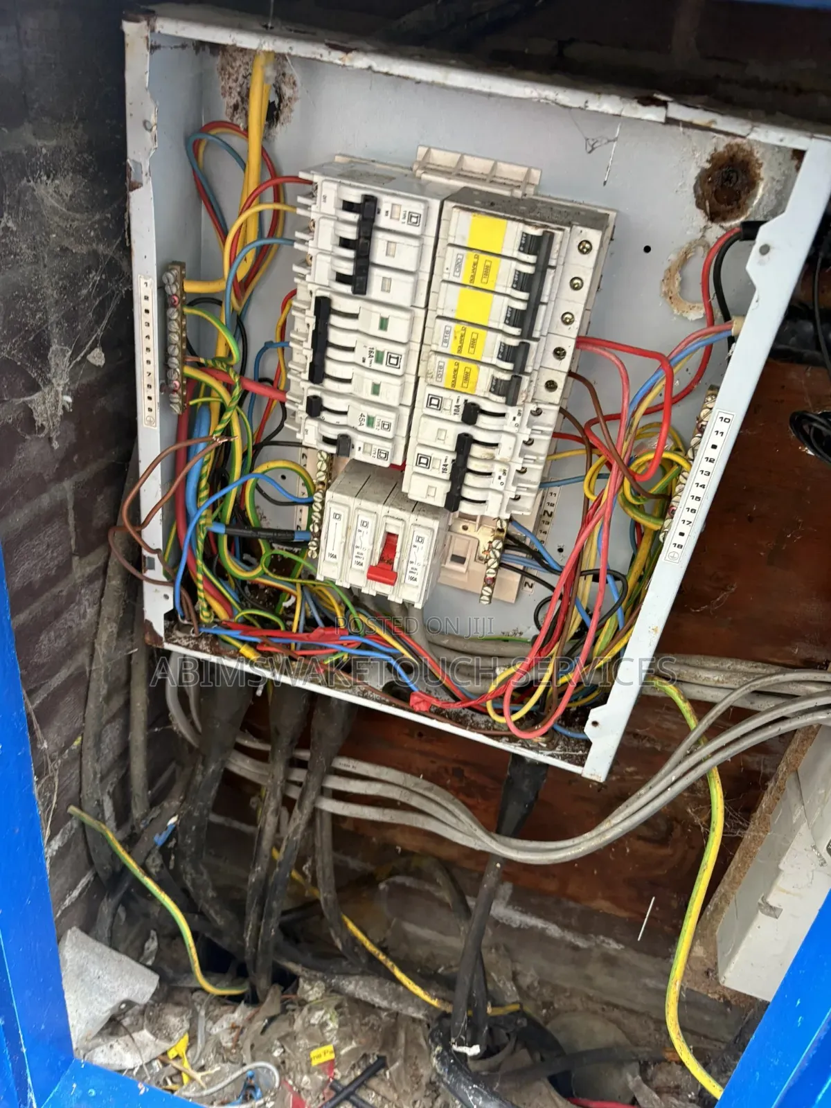 Professional Electrician