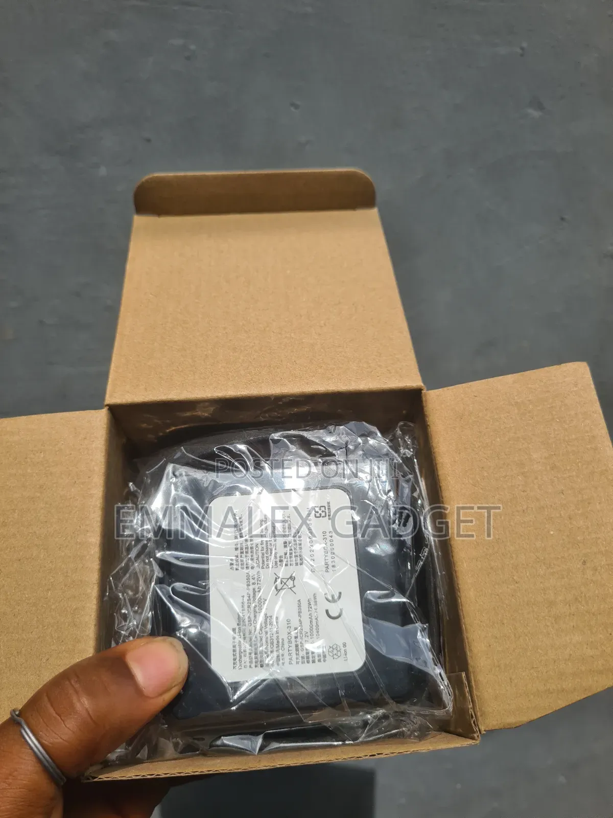 Party Box 300 Battery Replacement