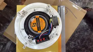 30w Celling Speaker
