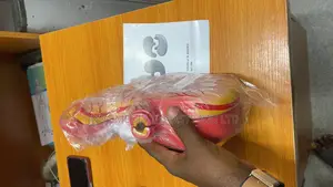 Stomach Model