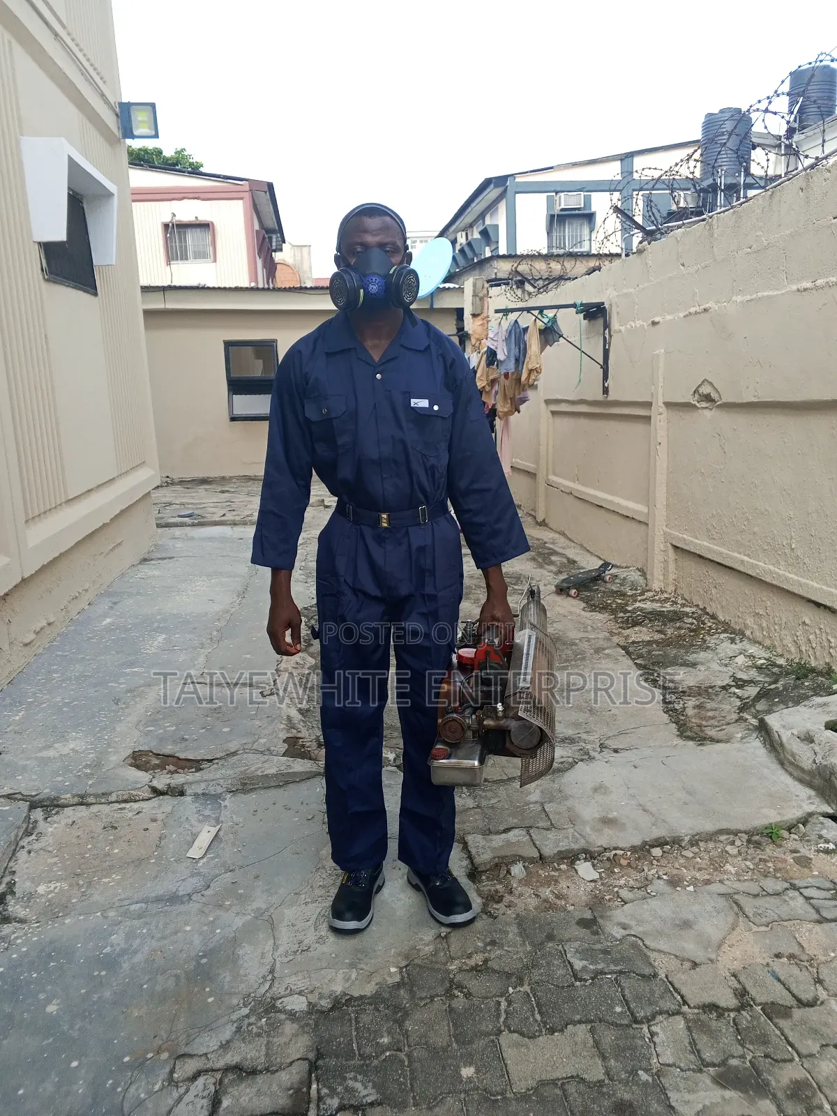 Rat( Rodent Control)