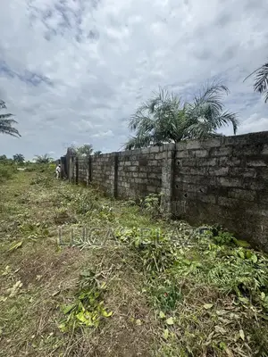 1 Plot of Land