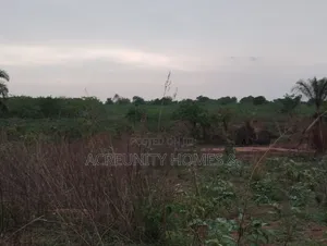 5 Acres of Commercial Land in Prime Area,Iseyin-Ogbomoso Way Oyo State