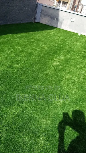 25mm Carpet Grass