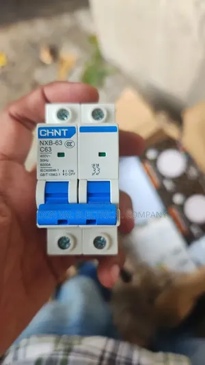 63amp 2pole Chint Miniature Circuit Breaker (Mcb)
