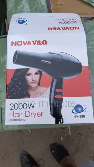 2000 Wt Hair Dryer 3 in 1