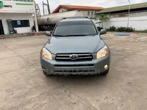 Toyota RAV4 2009 Gray