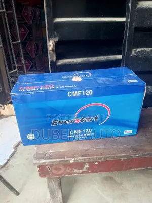Everstart 120 Battery