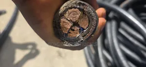 95mmx4core Amoured Nigerchin Cable Mm2