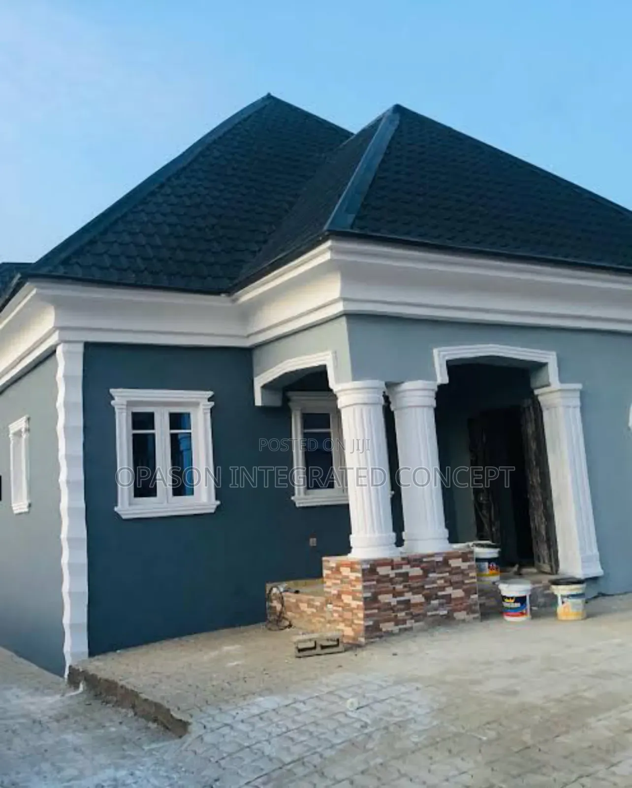 Experienced and Professional Painter