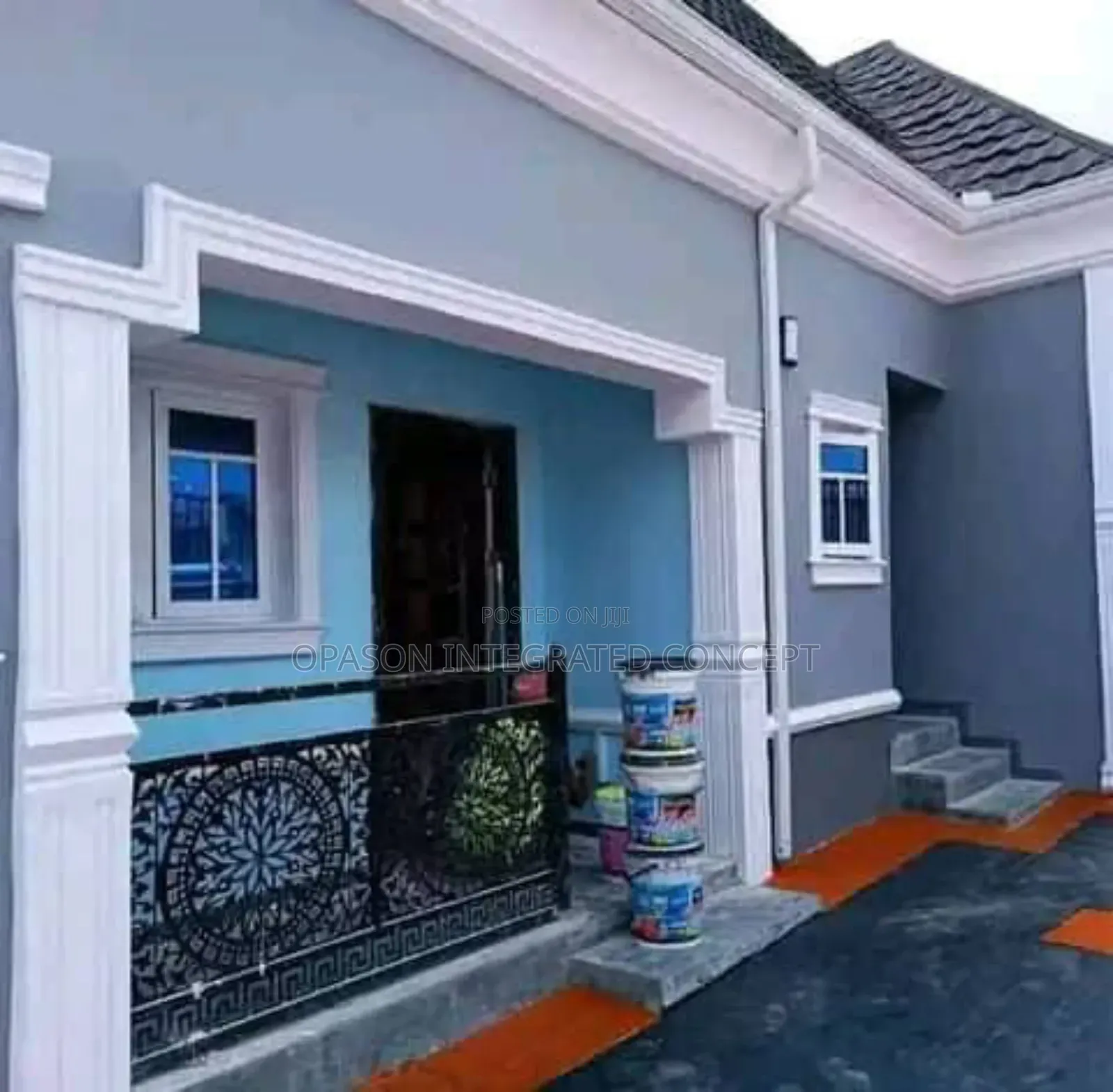 Experienced and Professional Painter