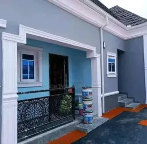 Experienced and Professional Painter