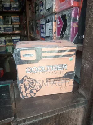 Cool Tiger 45 Amps Car Battery